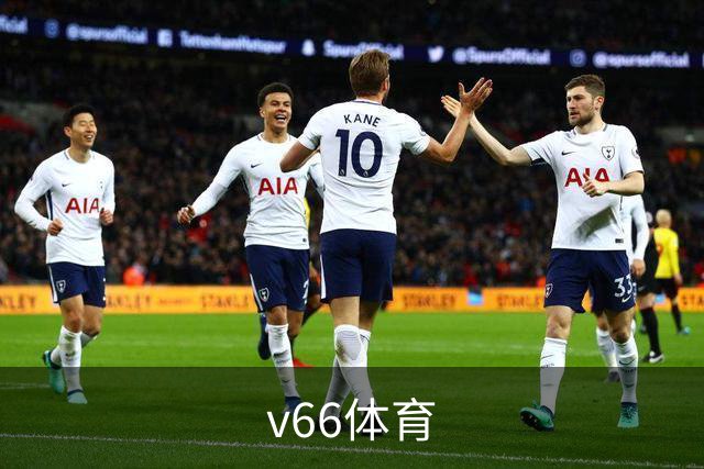 v66体育公司简介